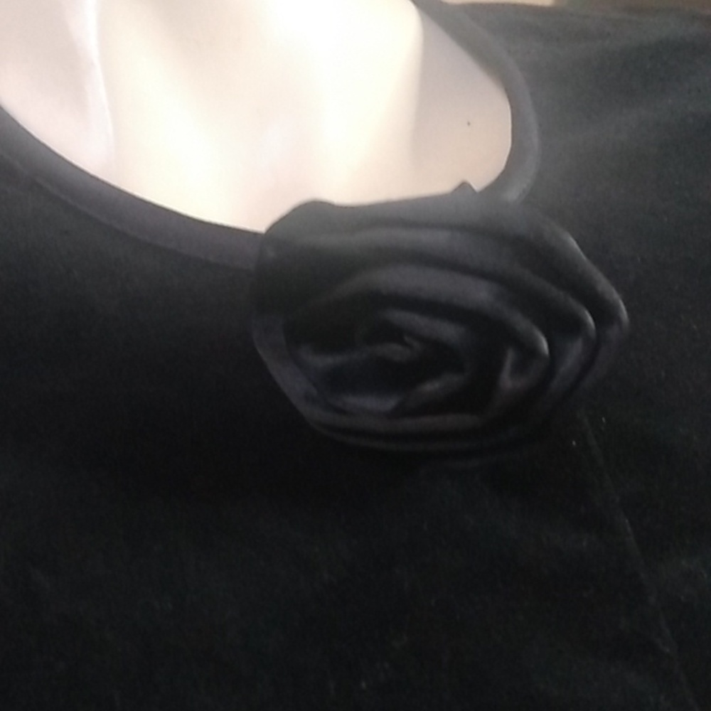 Formal button down cover - Picture 4 of 11